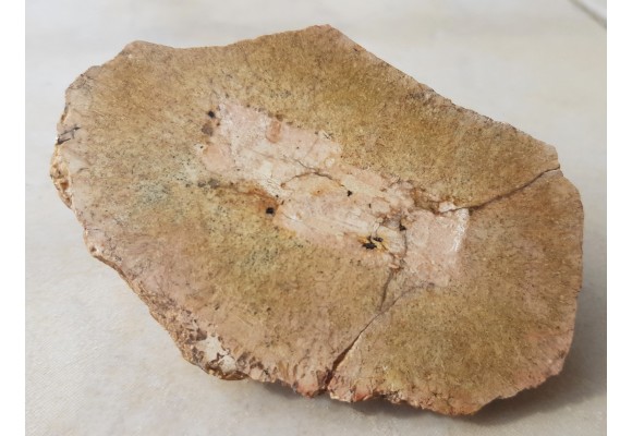 Granit kulisty (orbikularny) z Czarnego k. Jeleniej Góry