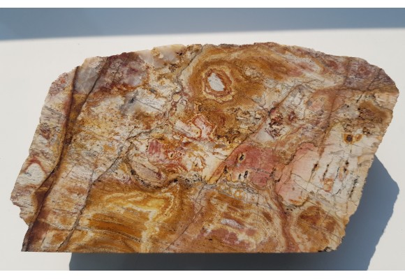 Polerowana okaz ozdobnego łupku kwarcowo-serycytowego