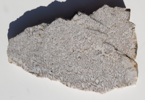 Plaster kamienia hebrajskiego z Piławy Grn.