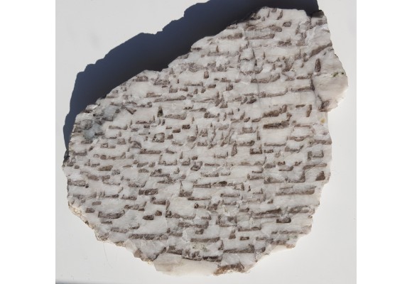 Plaster kamienia hebrajskiego z Piławy Grn.