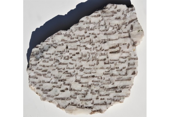 Plaster kamienia hebrajskiego z Piławy Grn.