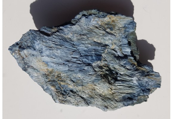 Rodusyt z Kazachstanu