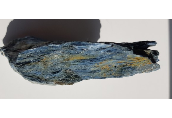 Rodusyt z Kazachstanu