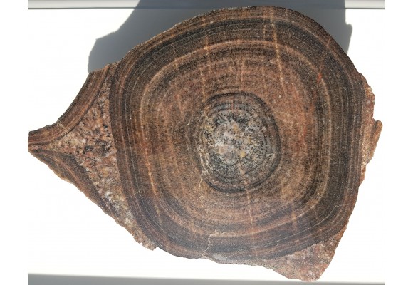 Duży okaz granitu orbikularnego z Finlandii