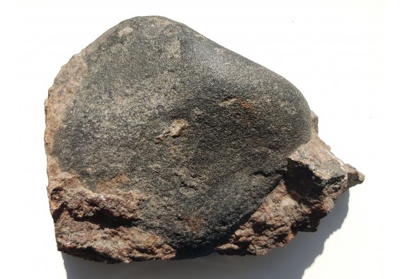 Duży okaz granitu orbikularnego z Finlandii