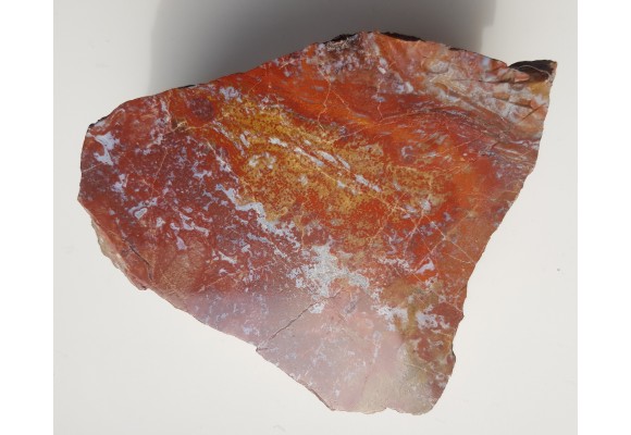 Jaspis z Suszyny k. Kłodzka