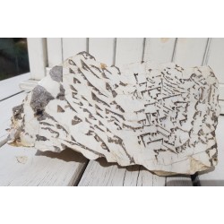 Muzealny okaz kamienia hebrajskiego