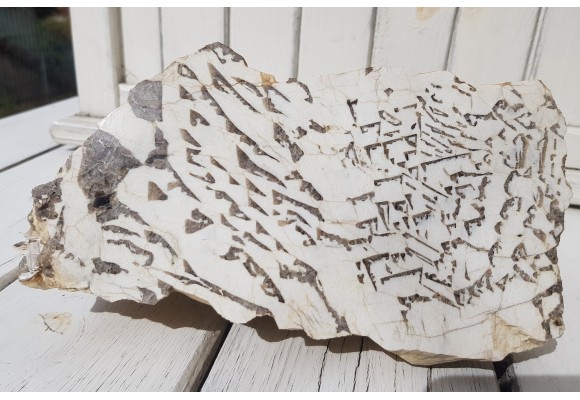 Muzealny okaz kamienia hebrajskiego