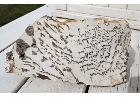 Muzealny okaz kamienia hebrajskiego