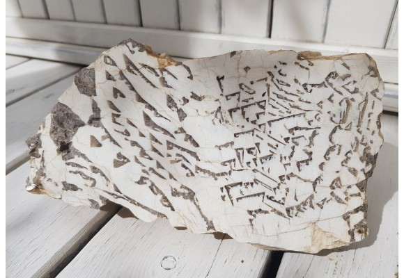 Muzealny okaz kamienia hebrajskiego