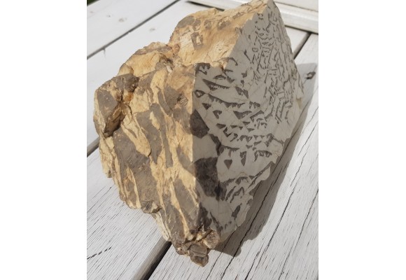 Muzealny okaz kamienia hebrajskiego