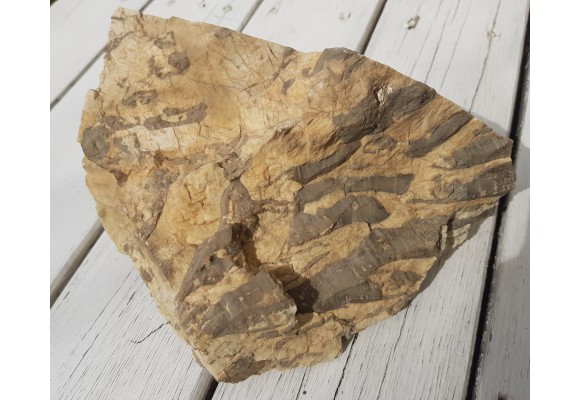 Muzealny okaz kamienia hebrajskiego