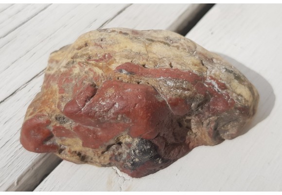 Żyła z jaspisem z aluwiów Bystrzycy k. Wrocławia