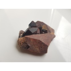 Moriony na skaleniu z Karkonoszy