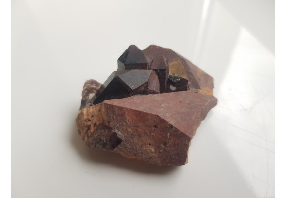 Moriony na skaleniu z Karkonoszy