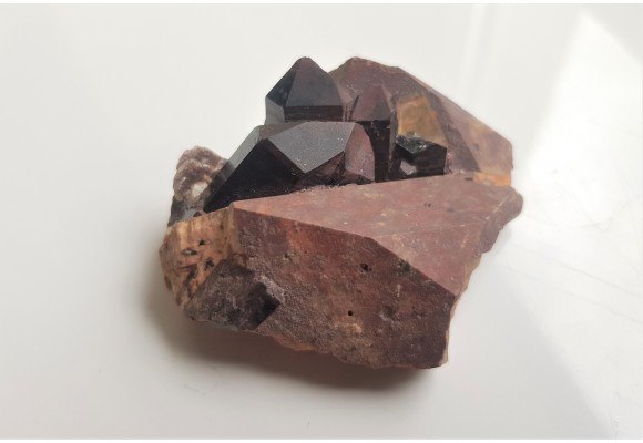 Moriony na skaleniu z Karkonoszy