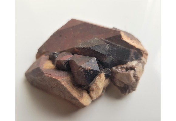 Moriony na skaleniu z Karkonoszy