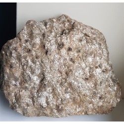 Duża płyta łupku łyszczykowego z granatami