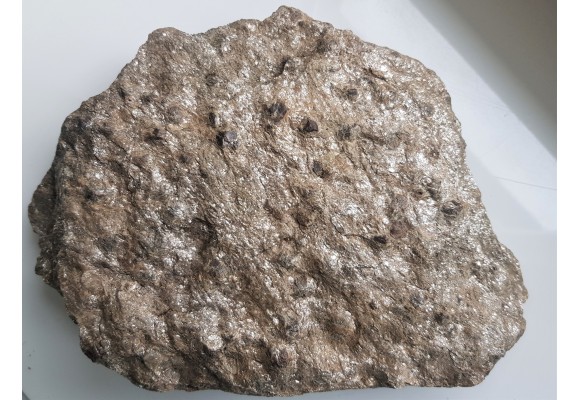 Duża płyta łupku łyszczykowego z granatami