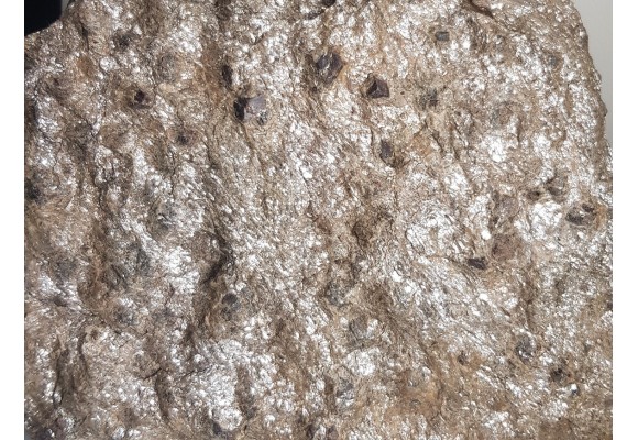 Duża płyta łupku łyszczykowego z granatami