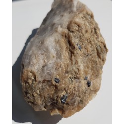 Żyła kwarcowa z rutylem z Kamieńca Ząbkowickiego