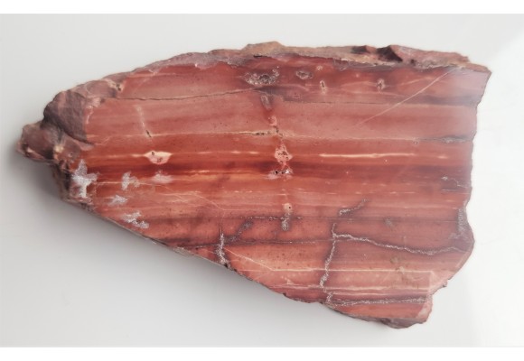 Jaspis ze Świerków k. Wałbrzycha