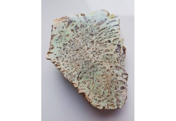 Amazonitowy granit napisowy z Bukowca k. J. Góry