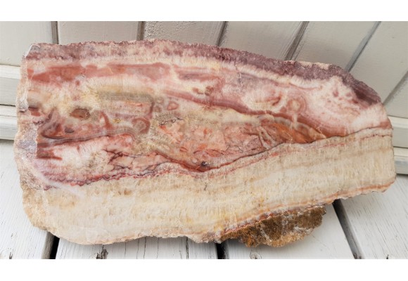 Duża płyta polerowanej różanki zelejowskiej