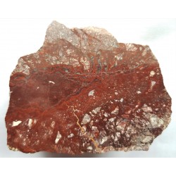 Polerowany fragment żyły ankerytowej z Wilczej