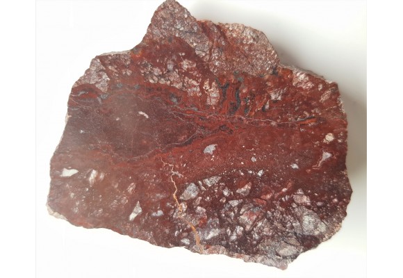 Polerowany fragment żyły ankerytowej z Wilczej