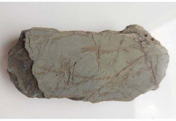 Polerowany łupek niebieski z olistostromy Jędrzychowic