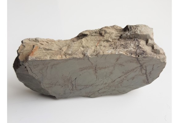 Polerowany łupek niebieski z olistostromy Jędrzychowic