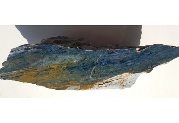 Rodusyt z Kazachstanu