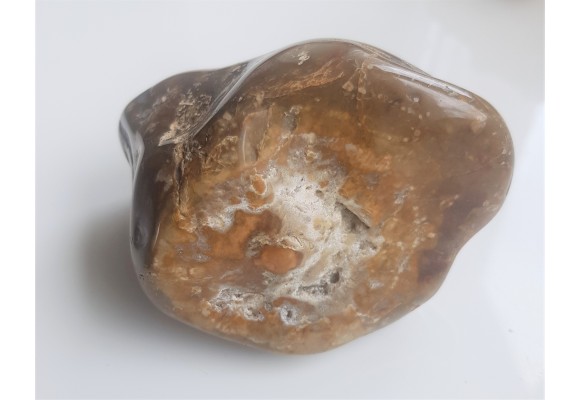 Polerowana gąbka - krzemień z Niżu Polskiego