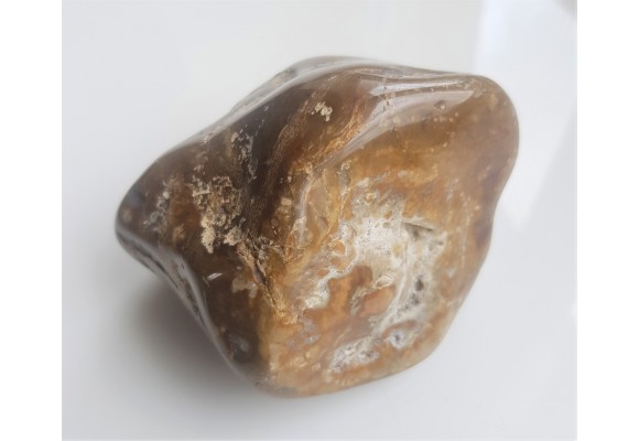 Polerowana gąbka - krzemień z Niżu Polskiego