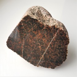 Adinol ze zlepieńców kulmu okolic Wałbrzycha