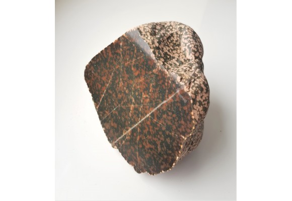 Adinol ze zlepieńców kulmu okolic Wałbrzycha