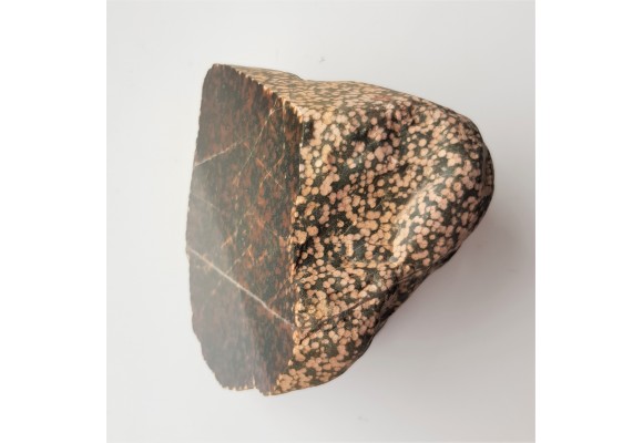 Adinol ze zlepieńców kulmu okolic Wałbrzycha