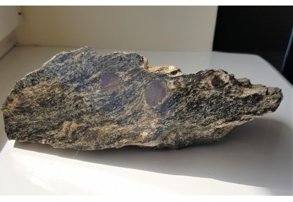 Polerowana płyta łupku z dużymi granatami