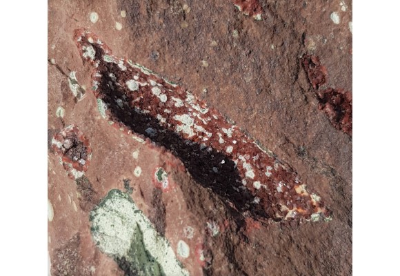 Heulandyt z Tenczynka