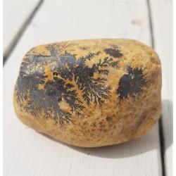 Dendryty manganowe na otoczaku wapiennym z Mokrzeszowa k. Włbrzycha