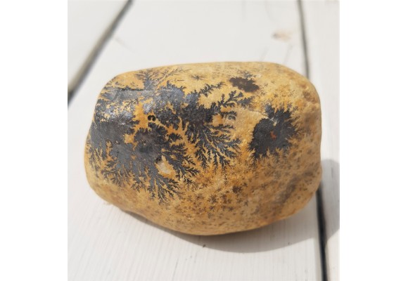 Dendryty manganowe na otoczaku wapiennym z Mokrzeszowa k. Włbrzycha