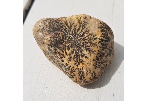 Dendryty manganowe na otoczaku wapiennym z Mokrzeszowa k. Włbrzycha