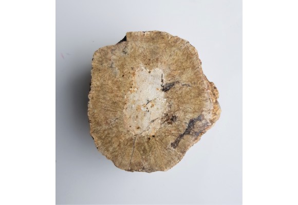 Granit kulisty (orbikularny) z Czarnego k. Jeleniej Góry