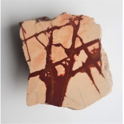 Pseudojaspis pejzażowy z Sudetów