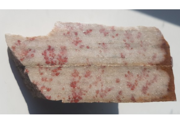 Dewoński kwarcyt z czerwonymi pseudodendrytami