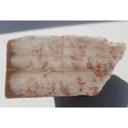 Dewoński kwarcyt z czerwonymi pseudodendrytami