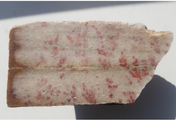 Dewoński kwarcyt z czerwonymi pseudodendrytami