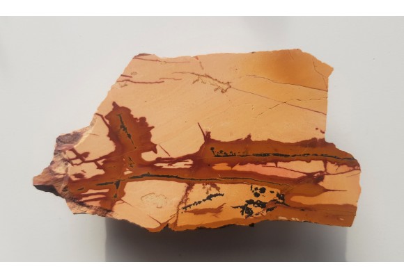 Pseudojaspis pejzażowy z Sudetów