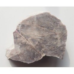 Duży okaz rzadkiego piroksenu litowego - spodumenu